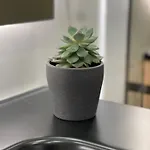 度假居 Neto Pinto - Casa De Ferias / Fins De Semana. *