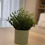 Neto Pinto - Casa De Ferias / Fins De Semana. 劳林哈