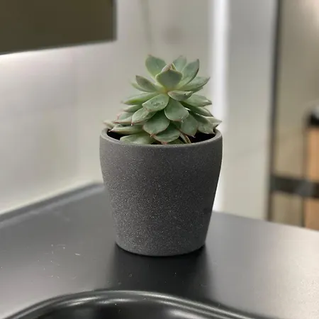 펜션 Neto Pinto - Casa De Ferias / Fins De Semana. *