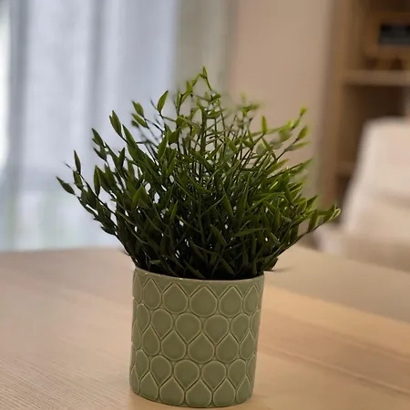 Neto Pinto - Casa De Ferias / Fins De Semana. 로리냐