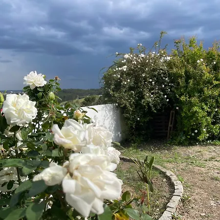 펜션 Neto Pinto - Casa De Ferias / Fins De Semana.