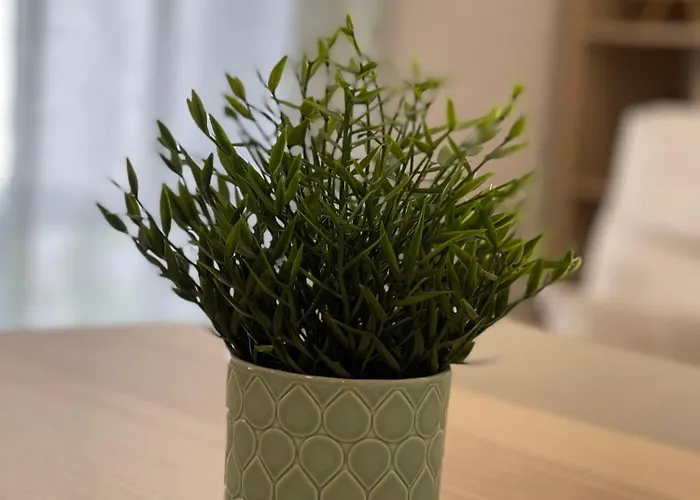 Neto Pinto - Casa De Ferias / Fins De Semana. Lourinhã