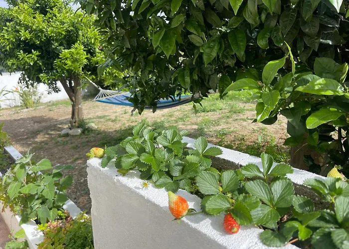 Semesterbostad Neto Pinto - Casa De Ferias / Fins De Semana.